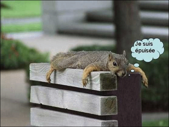 QELLE NUIT !